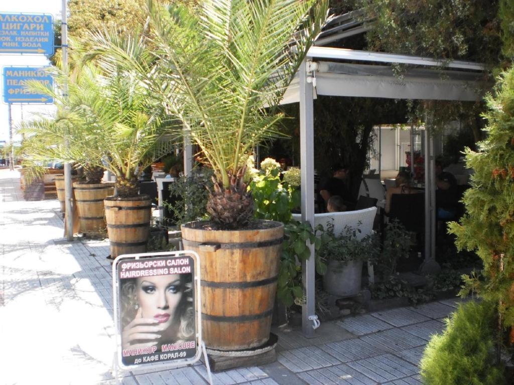 Fresh Kiten Kiten  Exterior foto